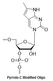 Bio-Synthesis Inc. Oligo Structure